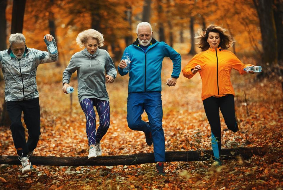 Group of people jump over fallen branch