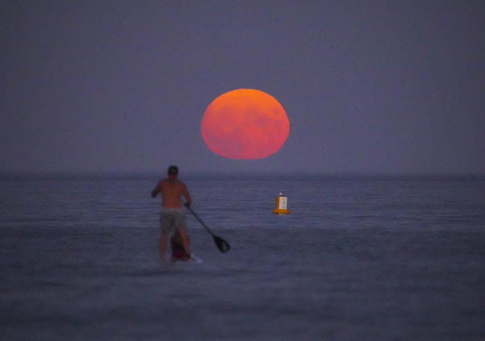 The Night Sky This Week The Night Sky This Week