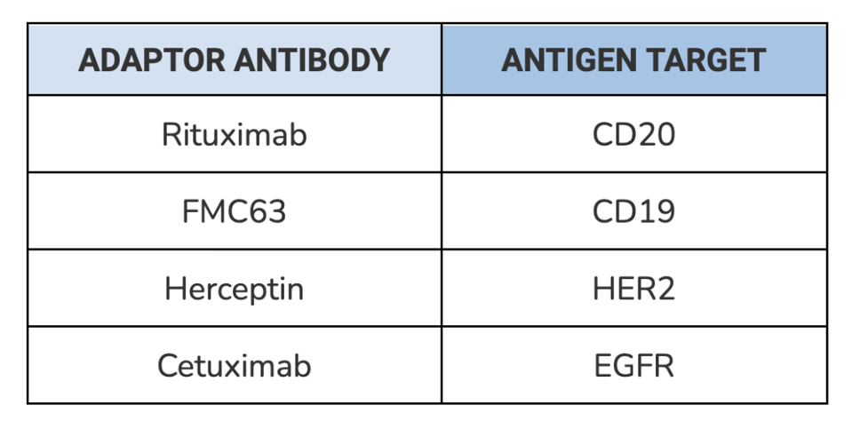 antibodies used in adaptor and their corresponding antigen targets