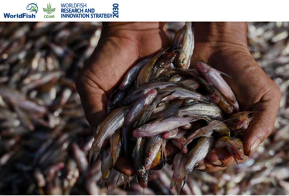 Challenge Opens For $1 Million In Prizes For Food System Innovations ...