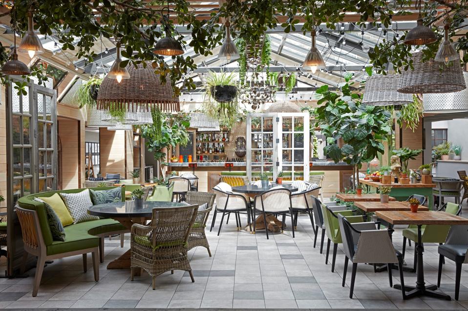 a dining room in a plant filled greenhouse