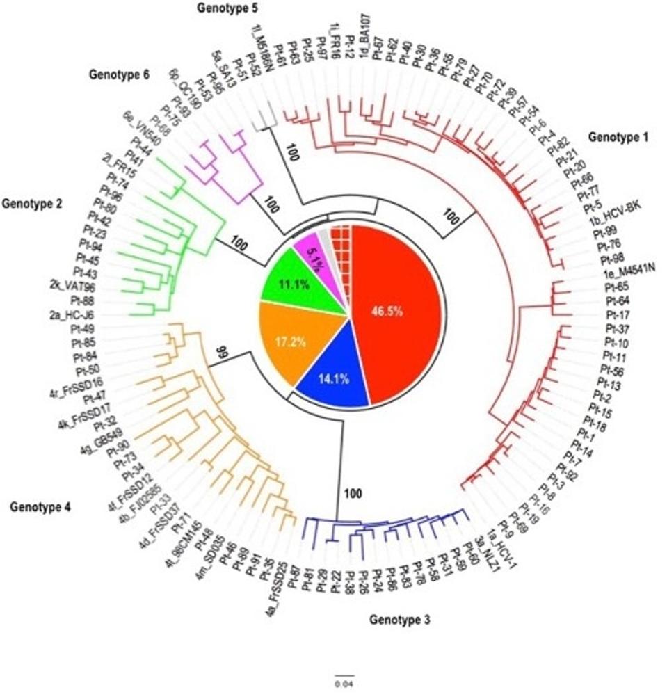 map of the hepatitis C virus's several genotypes, each with its own several subtypes.