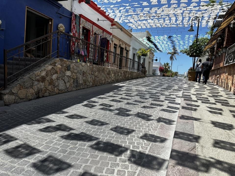 7B44FFDC-3FFB-4923-88B5-F7B3F773AD0E_1_105_c