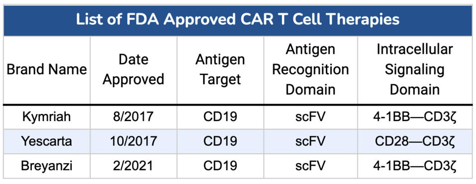 CAR T therapies for DLBL