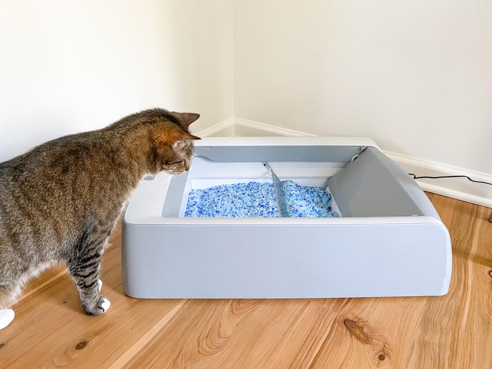 Petsafe Best Electronic Cat Litter Box Self Cleaning PETSAFE