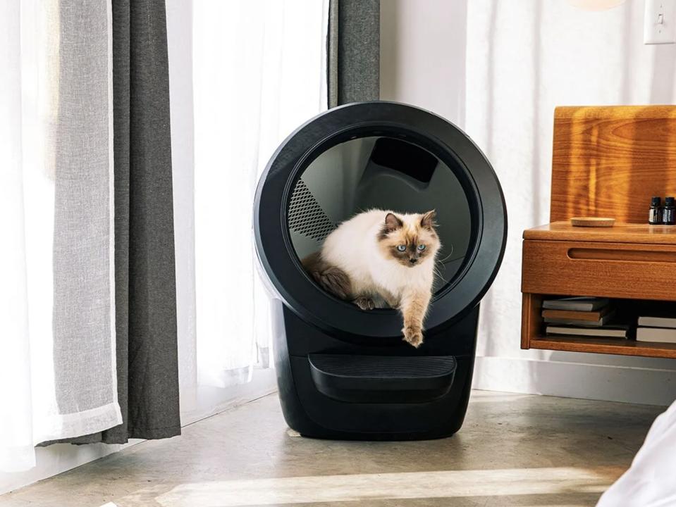 Pet Supplies Pregnancy And Cleaning Cat Litter Petsafe Cleaning