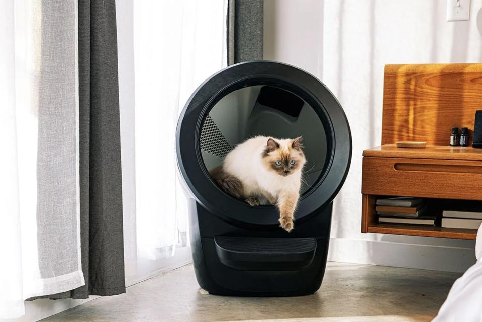 Enclosed Litter Best Automatic Cat Litter Box Reddit Best