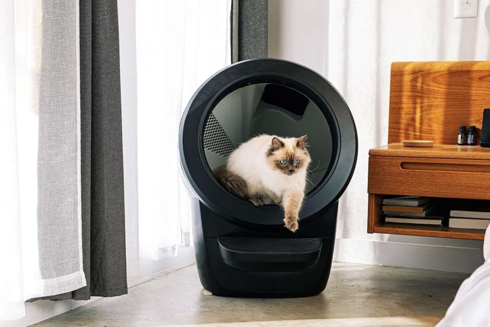 Best Self Cleaning Litter Box for Multiple Cats: Top Picks
