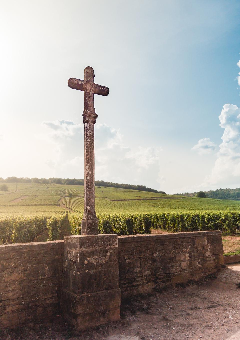 Domaine Romanée Conti in Burgundy, France