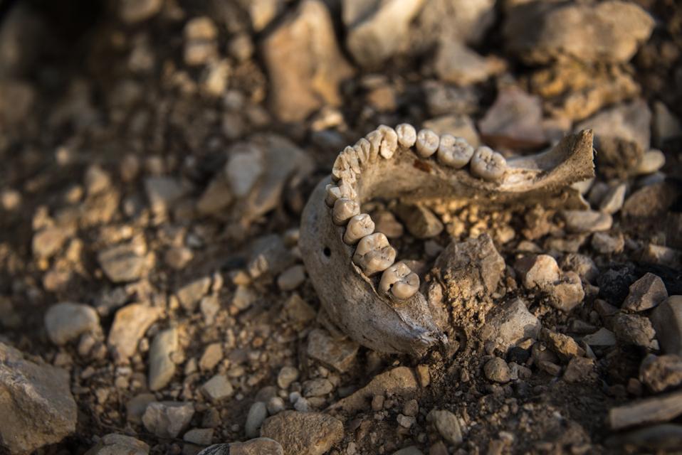 Damage in Sinjar, Iraq after liberation from Daesh