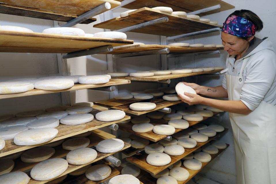 Traditional cheese factory. Reblochon