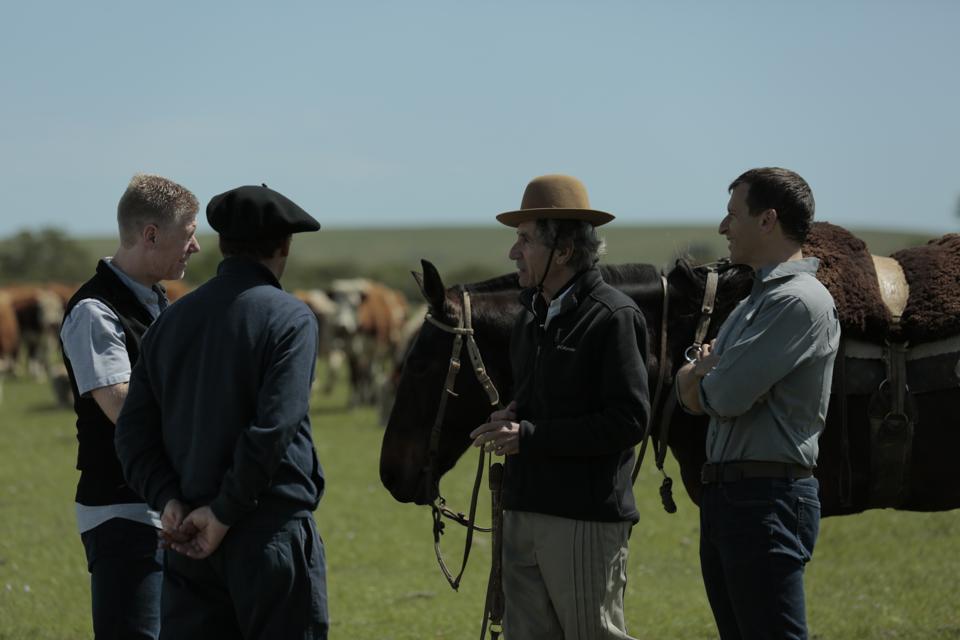 four men and a horse on an open grassland