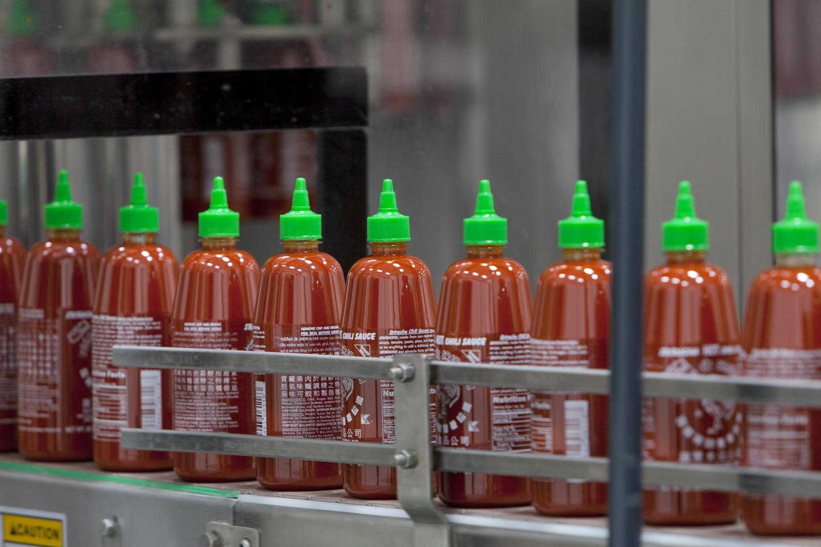 Sriracha Hot Chili Sauce Plant