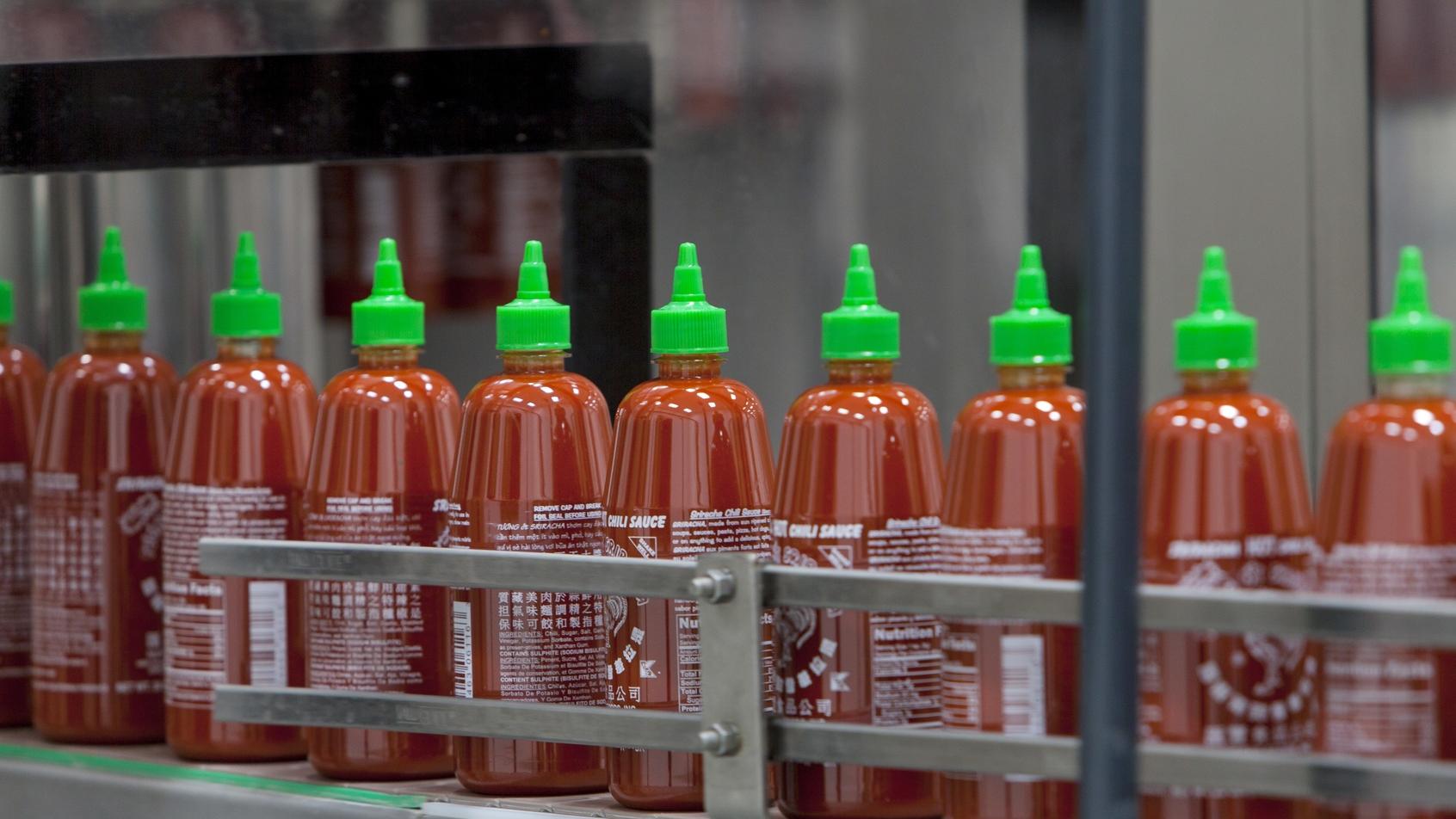 Sriracha Hot Chili Sauce Plant