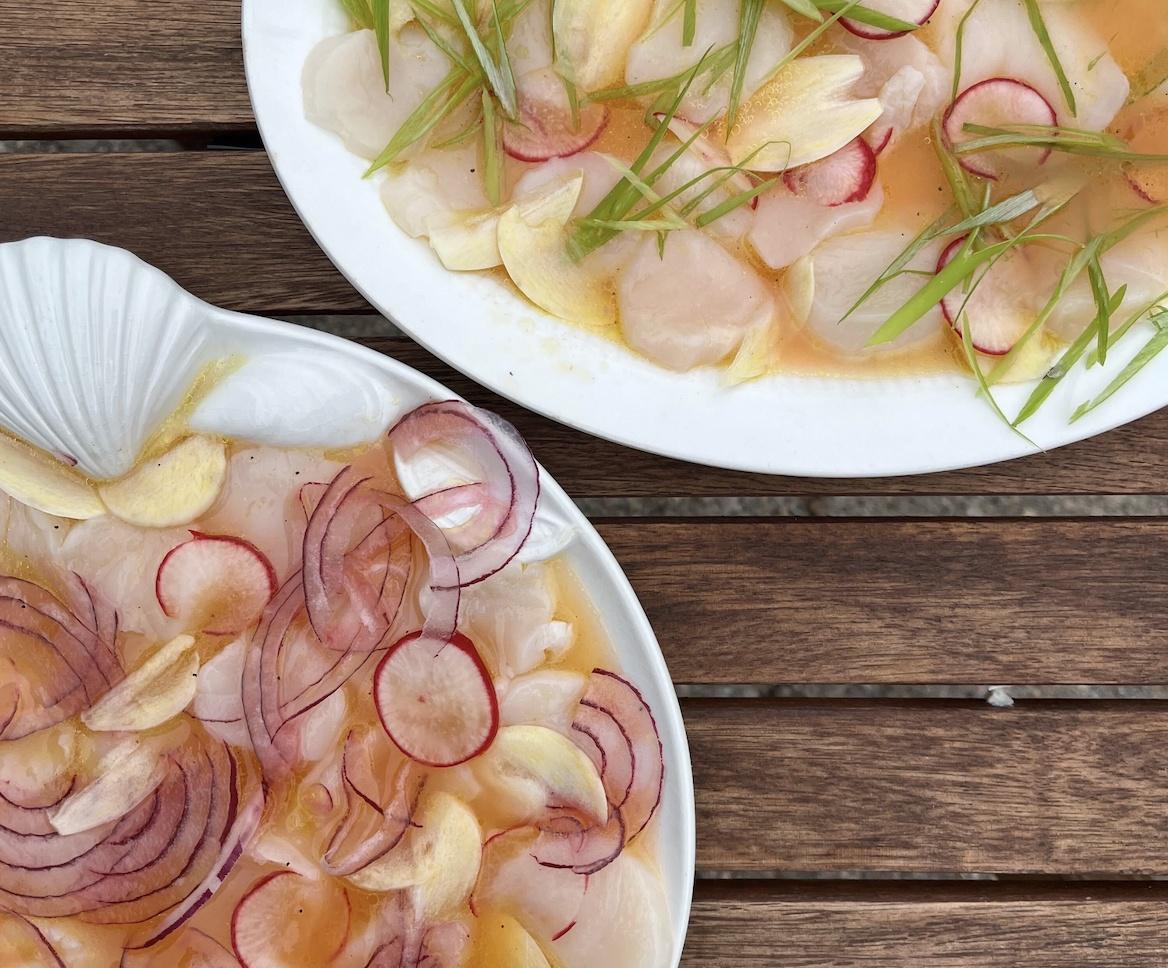 Two raw scallop dishes