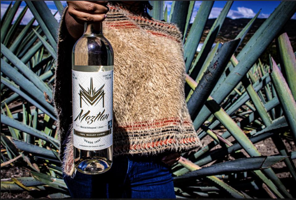 bottle of mezcal meztlan with maguey background