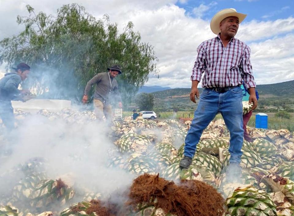 Don Nacho, stands next to cooking piñas