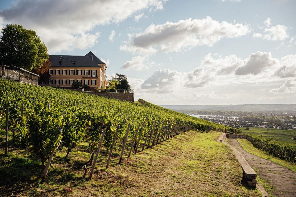 Schloss Johannisberg