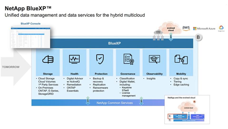 Graphic illustrating the capabilities of NetApp BlueXP