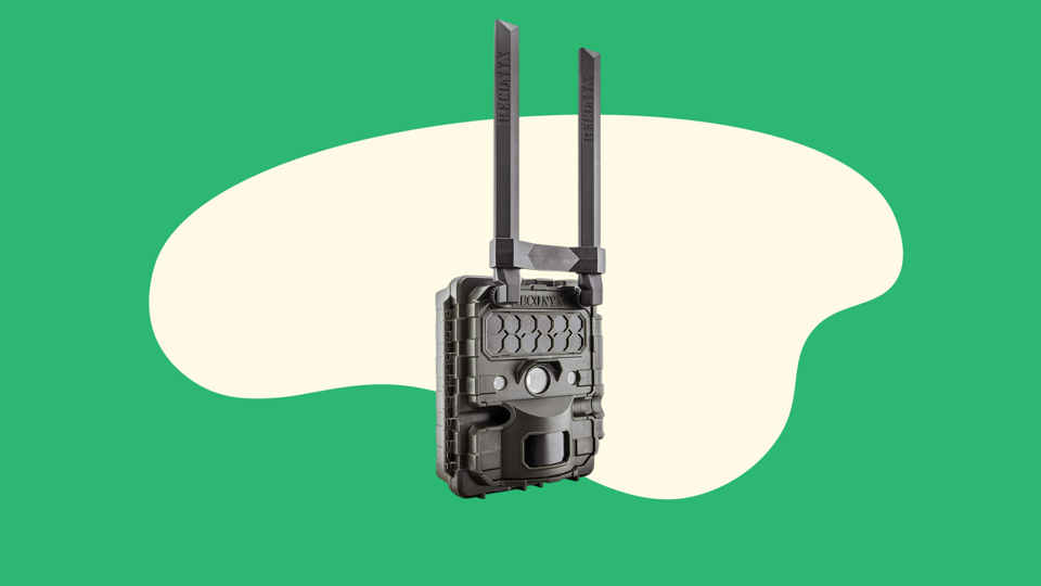 Best wireless deals game camera 2019