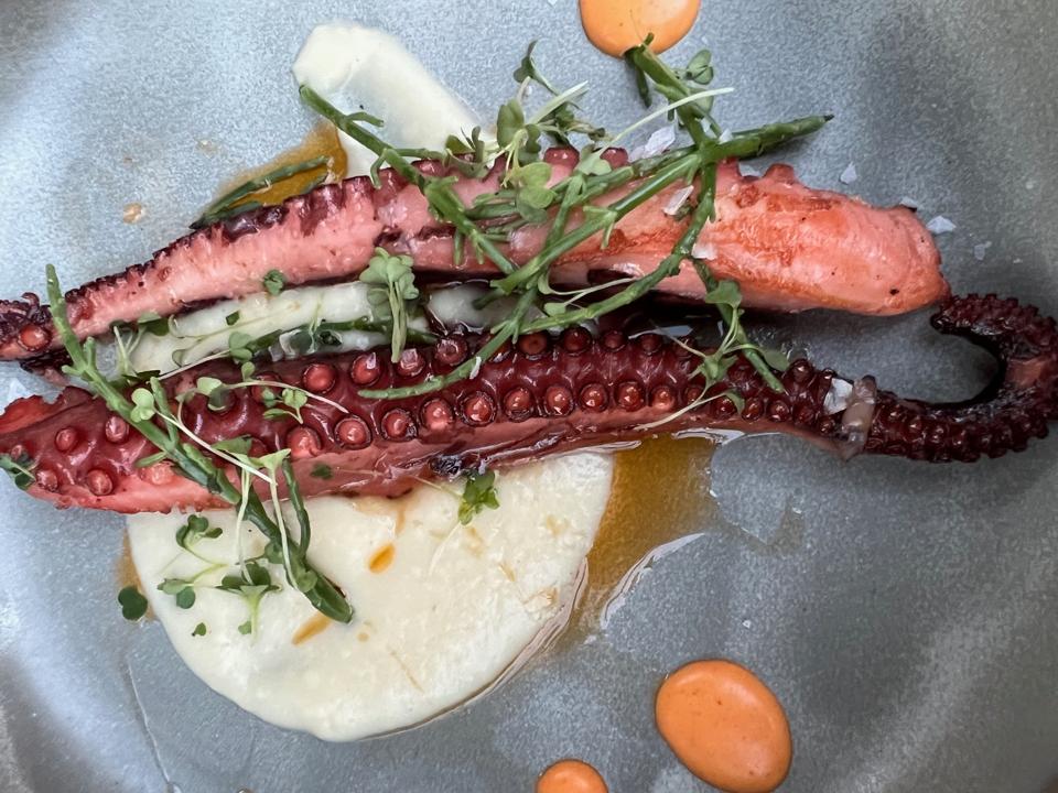 Firewood octopus with celery sprout purée and harissa aioli