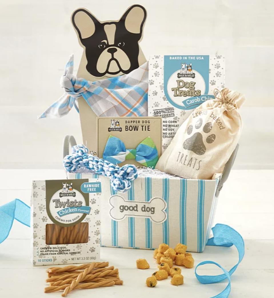 More Than Just Treats Festive Dog Gift Ideas to Delight Your Furry Friend