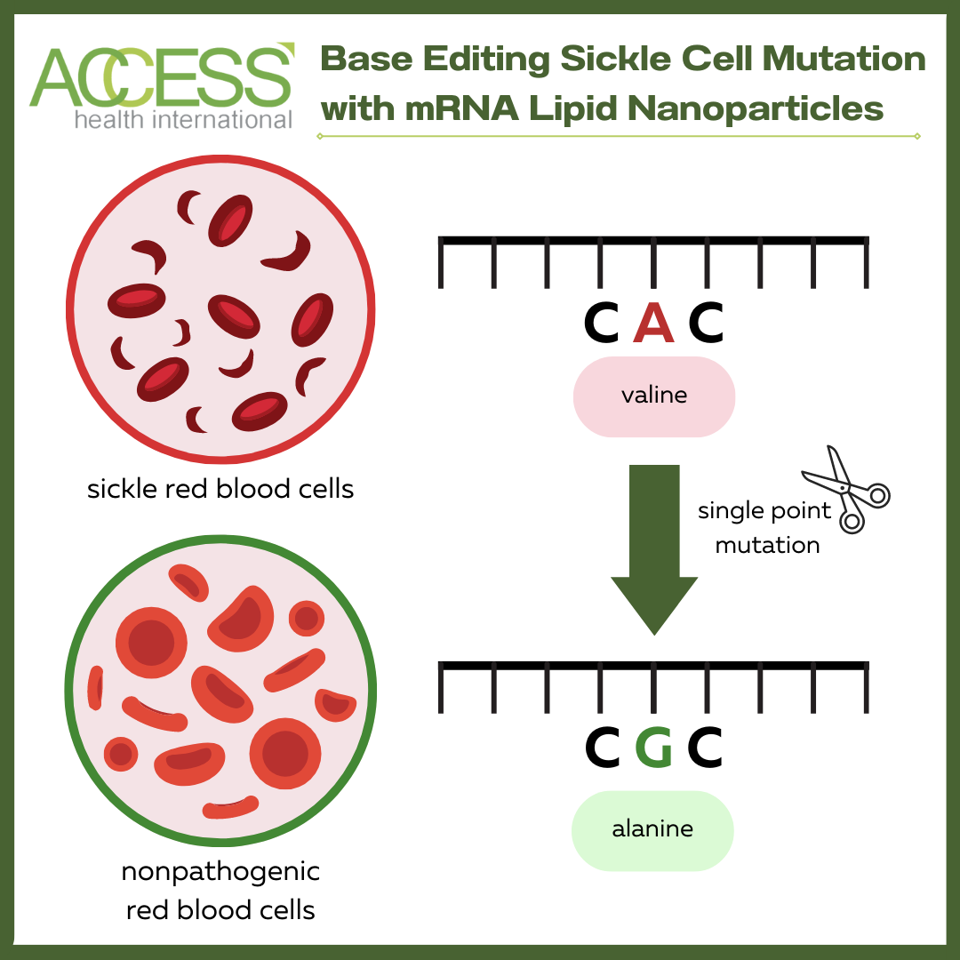 Base editing mRNA 