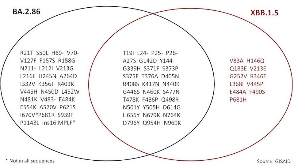 45718870-edbc-466e-806c-1b98e6a22a30