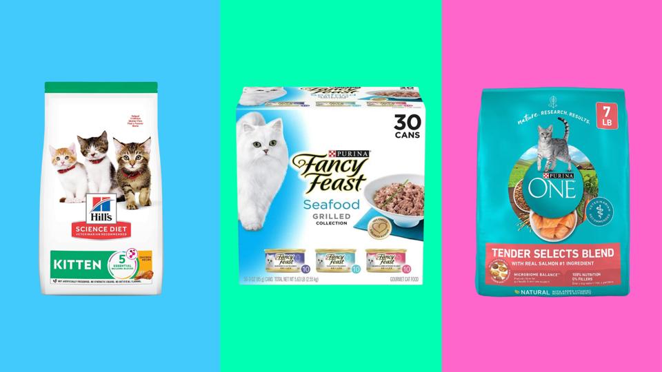 What Cat Food is Best