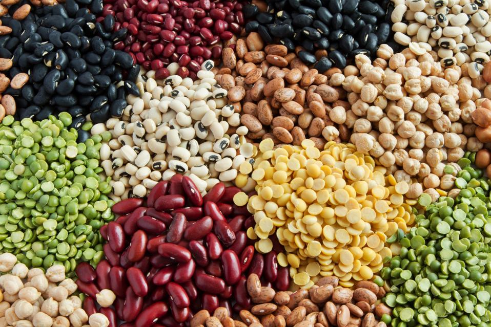 Denmark’s $195 Million Plant-Based Fund Receives Overwhelming Number Of ...