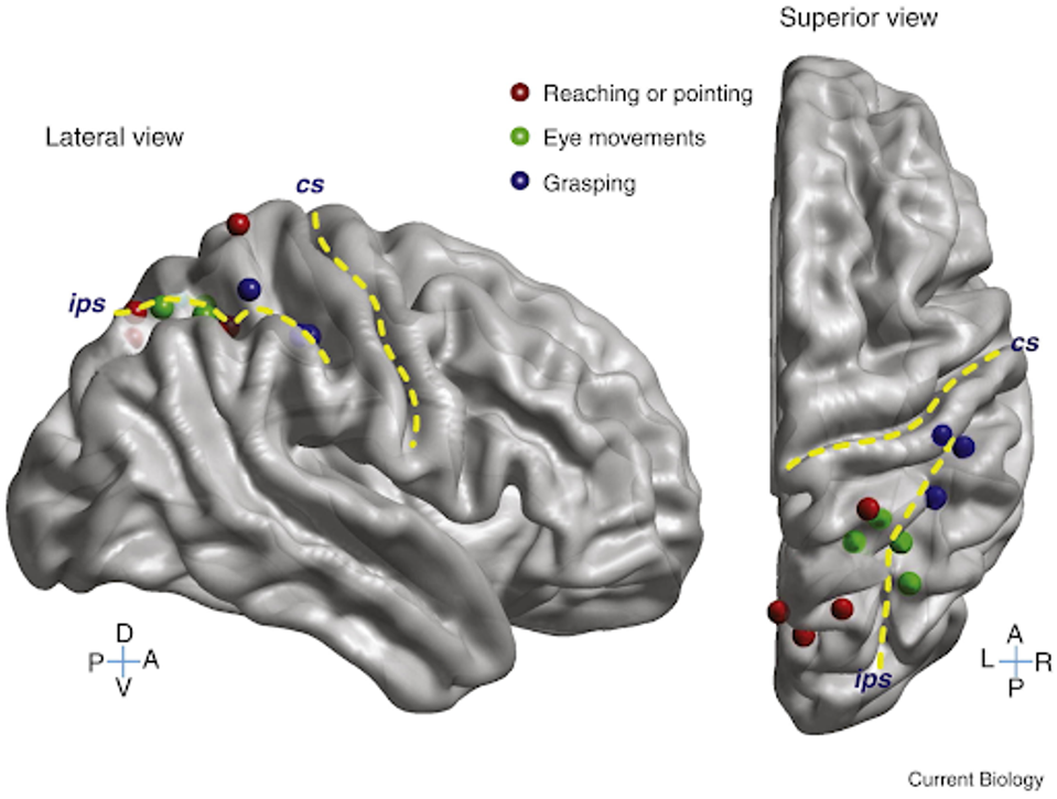 unnamed - 2023-09-08T135202.474