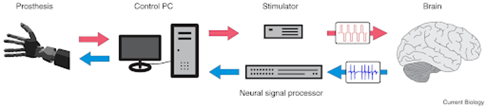 unnamed - 2023-09-08T135300.684
