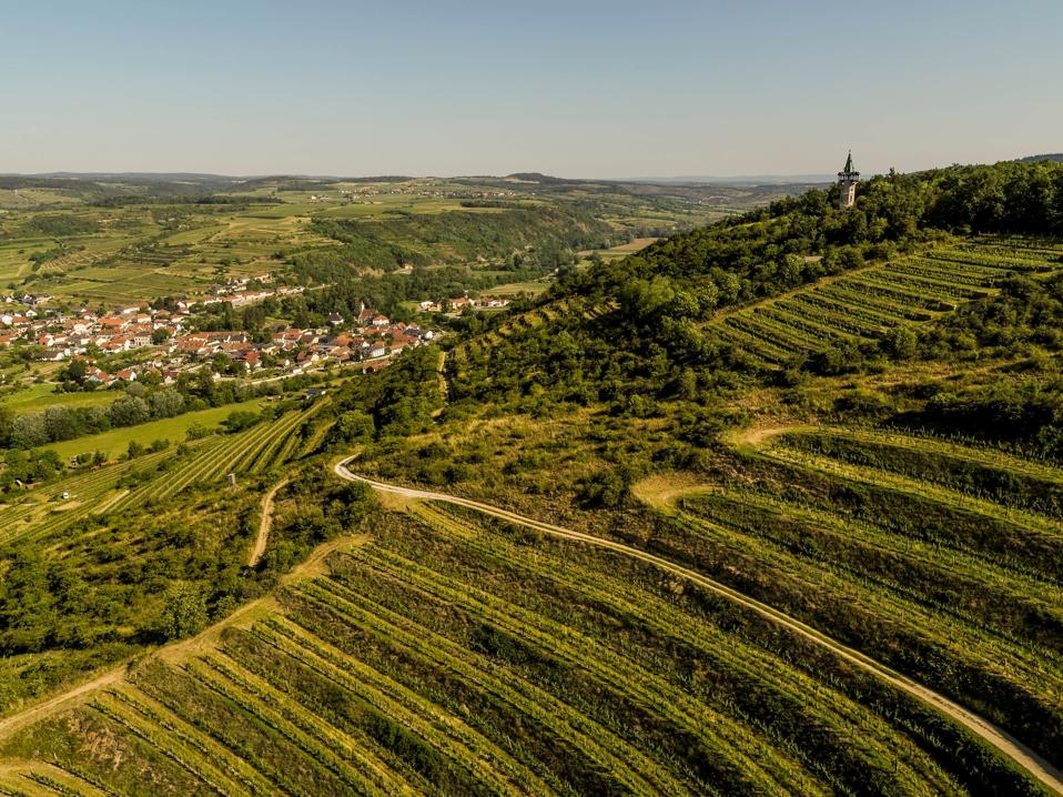 Ried Heiligenstein, Kamptal, Niederösterreich
