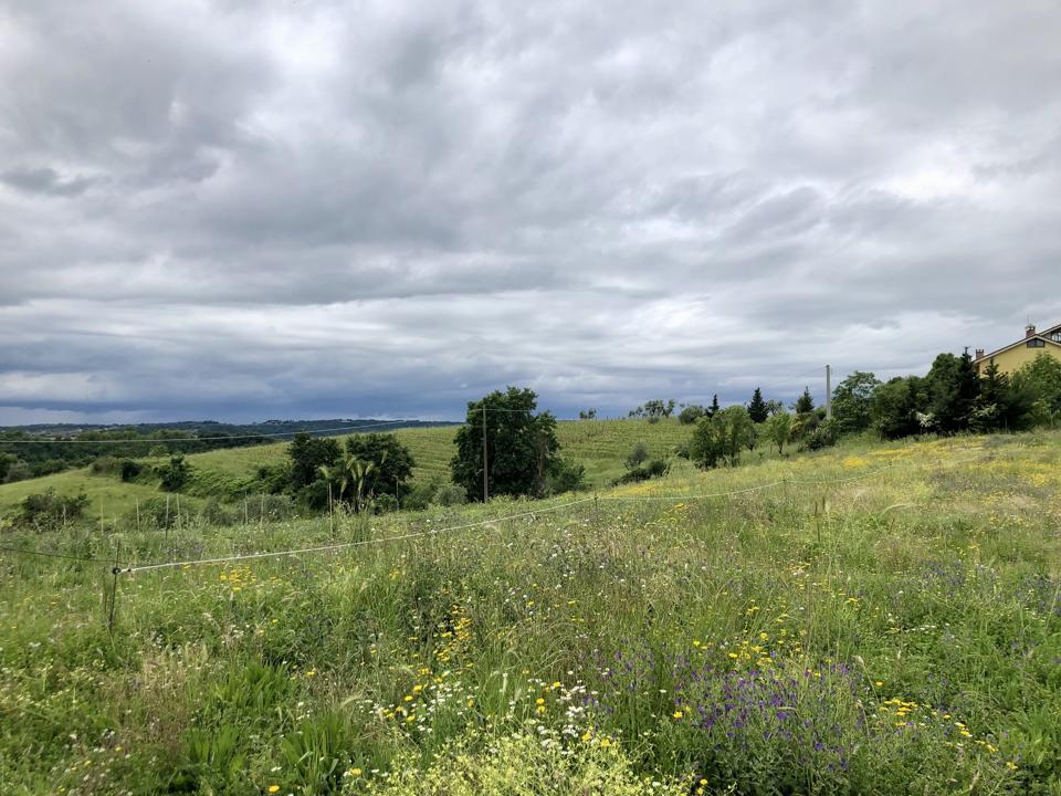A hilly landscape of meadows and vineyards shared by two municipalities in Lazio North.