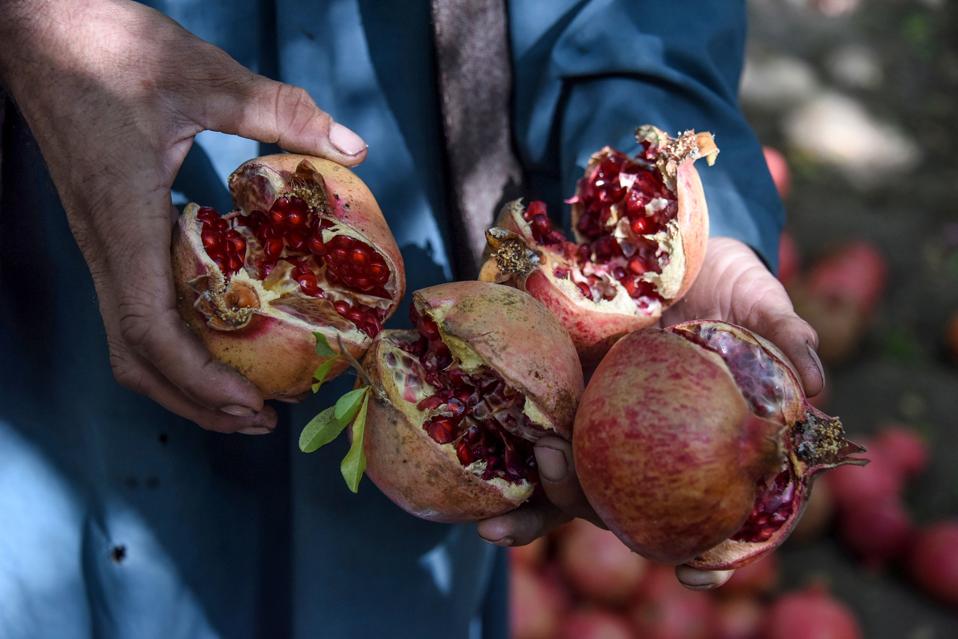 A Pomegranate A Day Keeps The Doctor Away? Researchers Rejuvenate Aging  Immune Systems