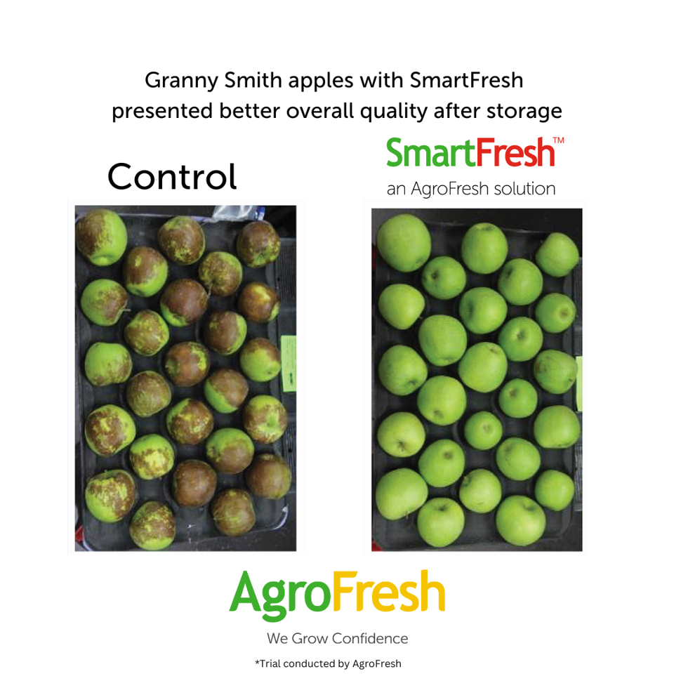 Apple Comparison