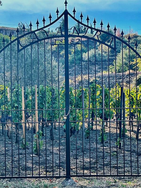 Firriato Winery's Cavanera Estate Mt. Etna 