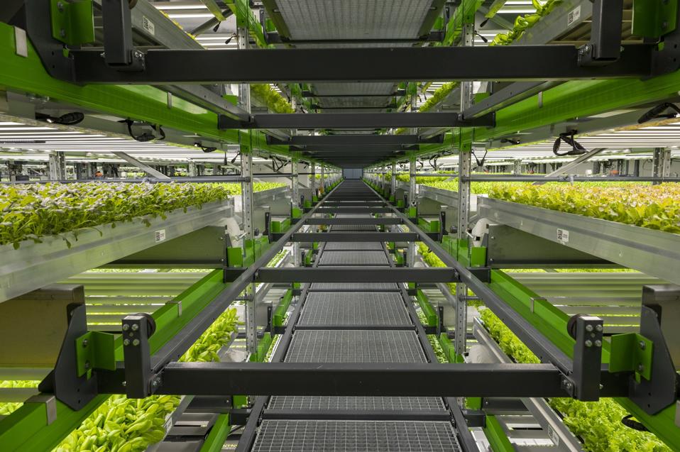 Bethlehem Grow Room