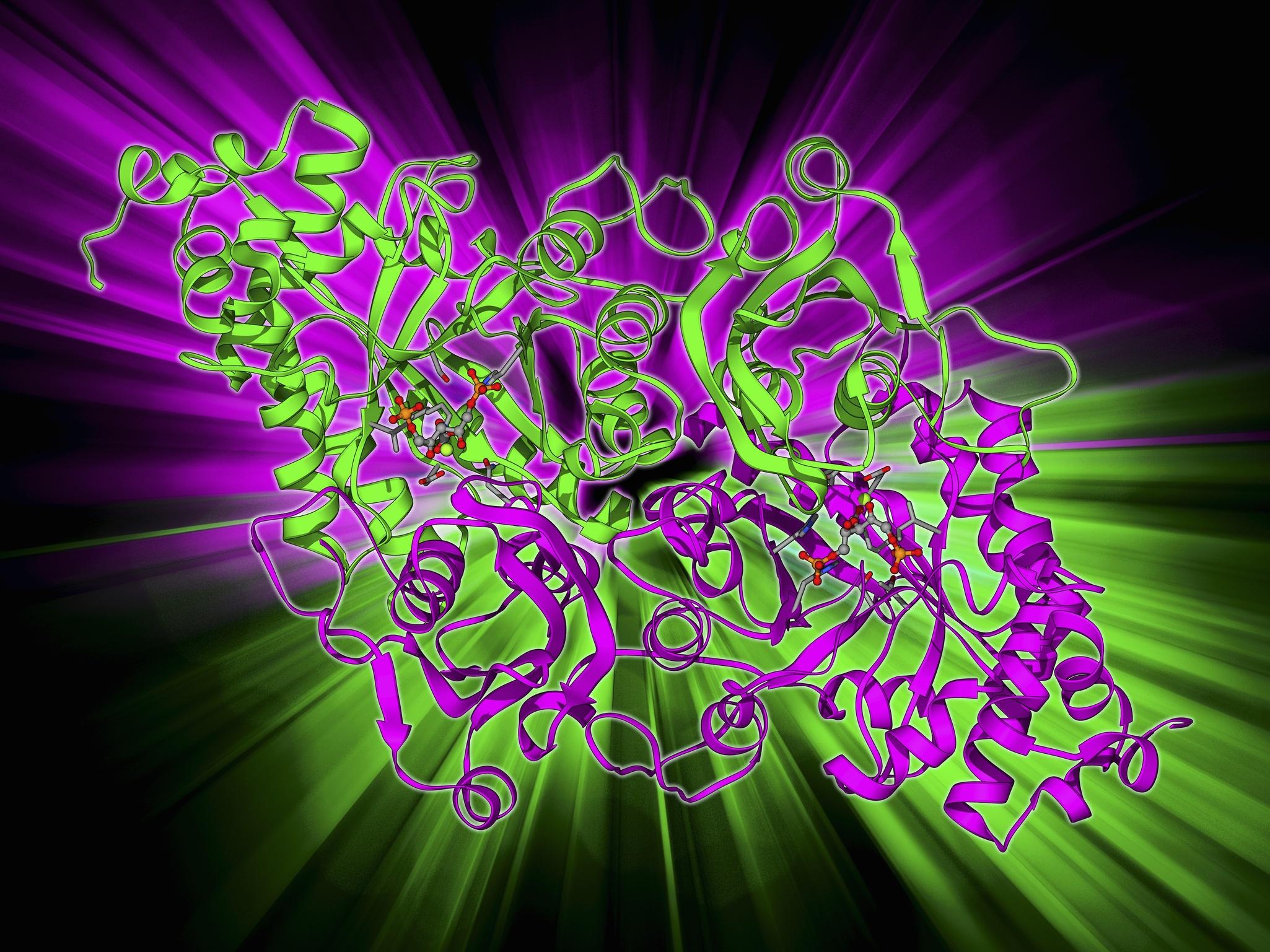 Rubisco enzyme molecule