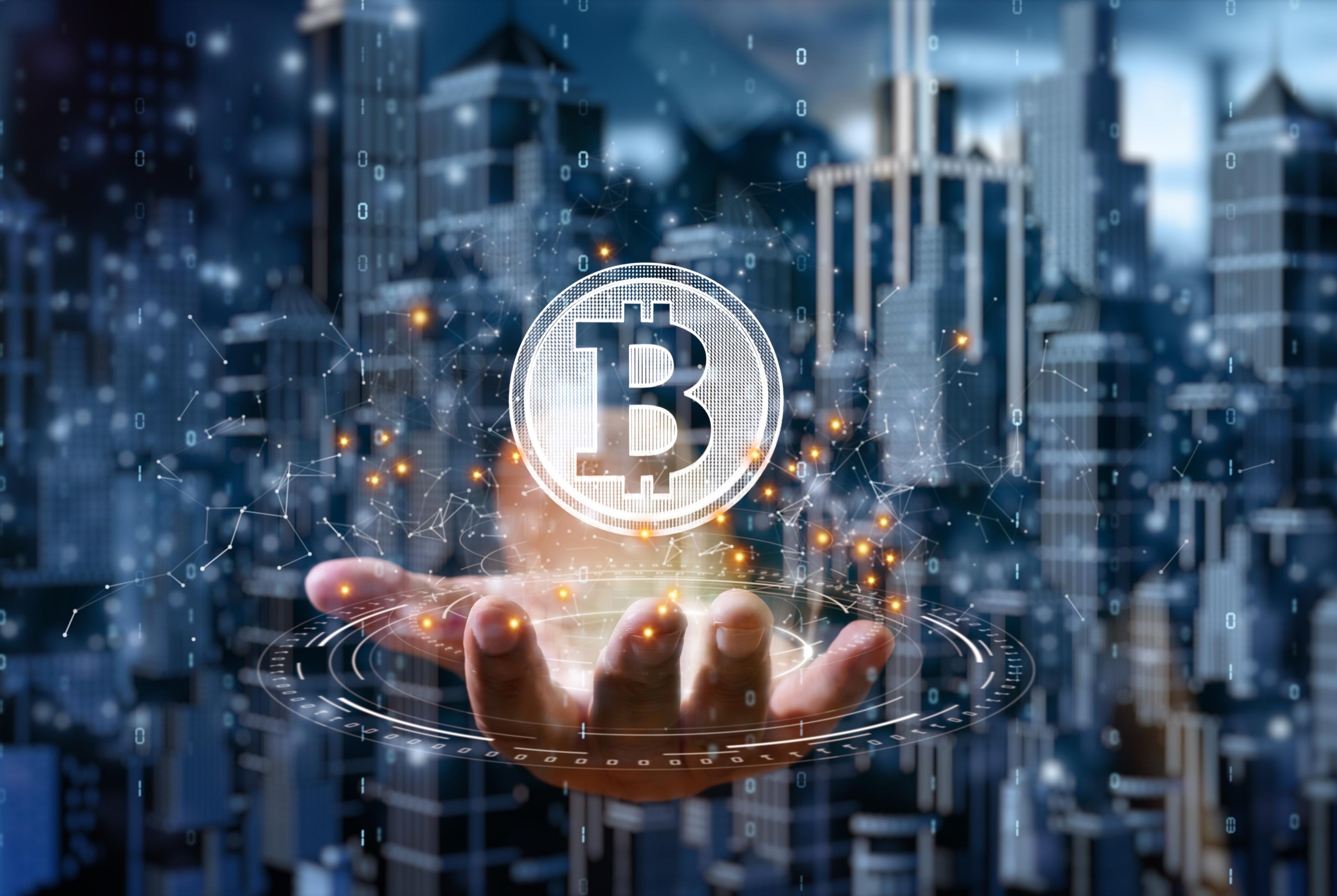 The 1 Bitcoin Chart They Don't Want You To See
