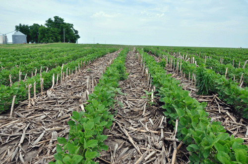 NoTillSoybeans147 NRCS