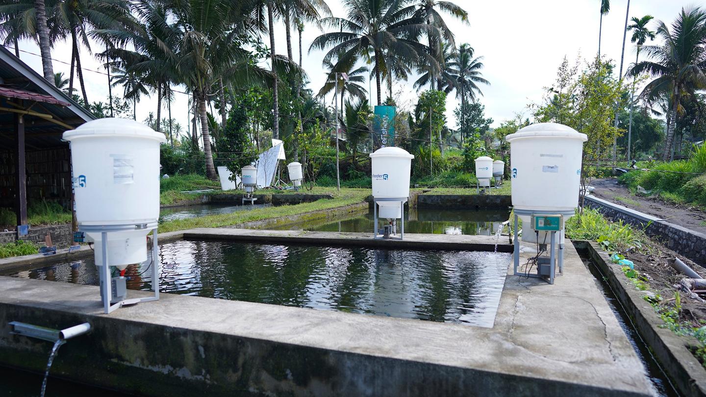 fish-feeder-Courtesy of eFishery