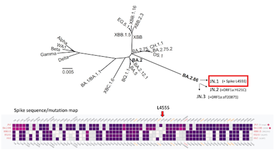 unnamed - 2023-10-26T112102.364