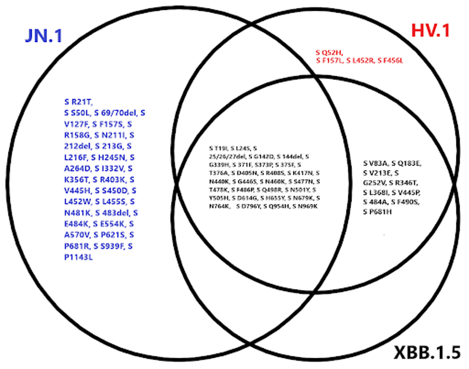 unnamed - 2023-10-26T112105.928
