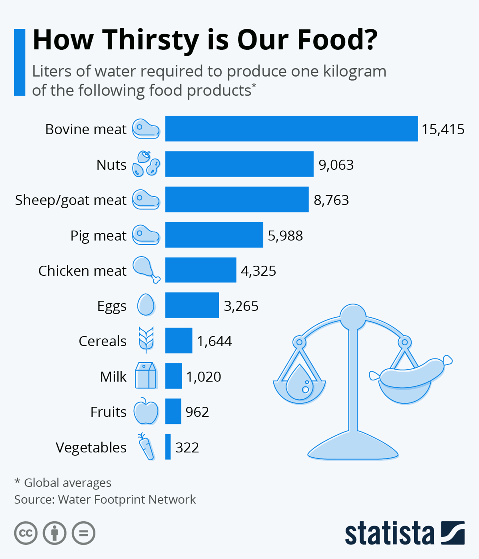 water footprint