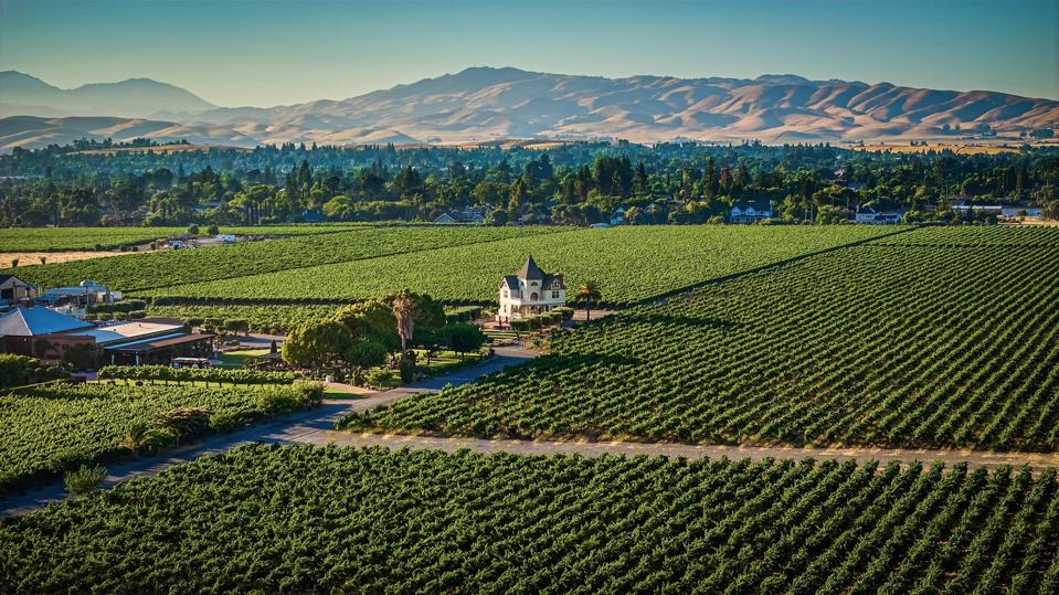 Concannon Vineyards in Livermore Valley, Birthplace of California Cabernet