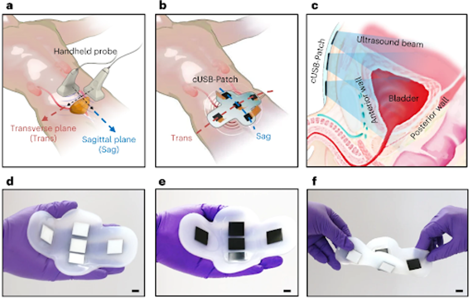unnamed - 2023-12-07T115324.689