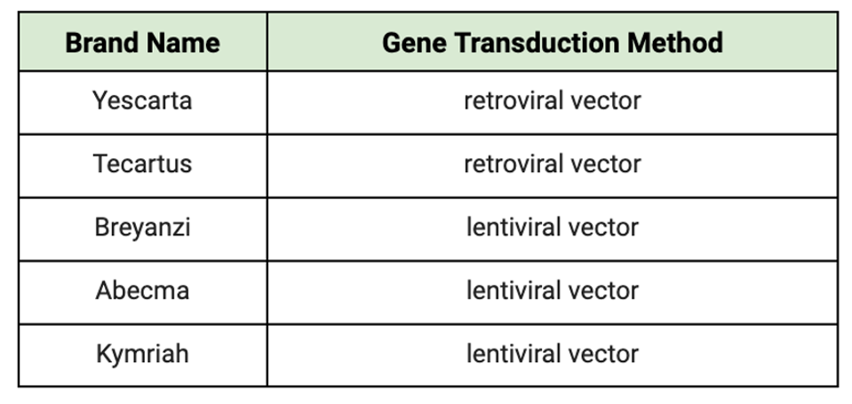CAR T Gene Transduction Method