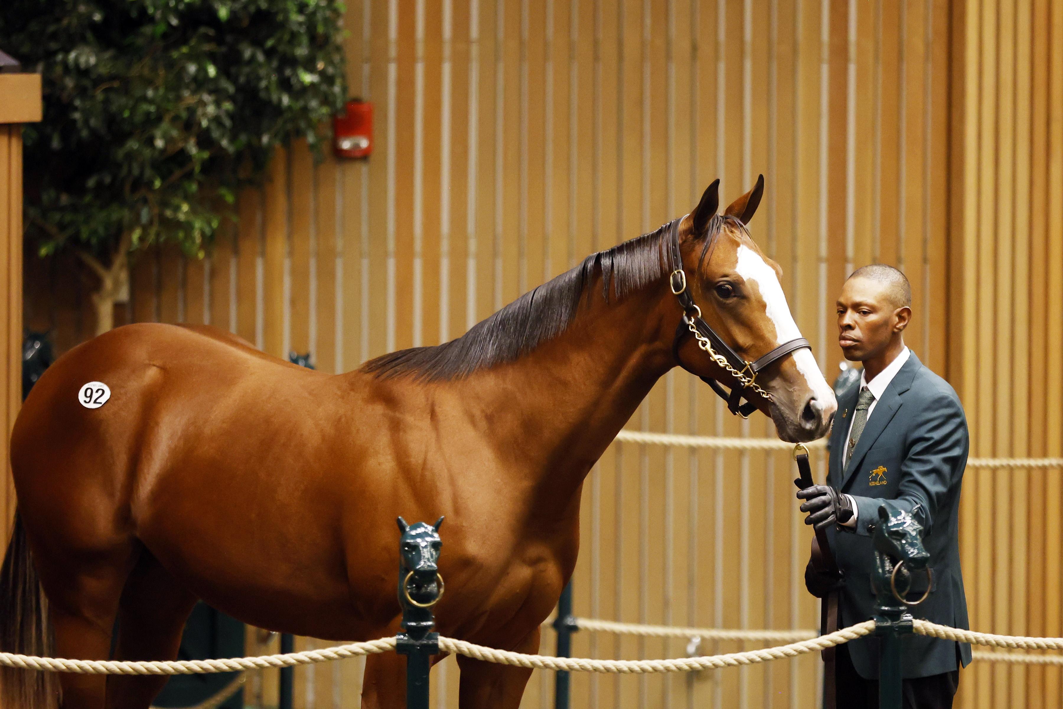 Hip 92, 2023 Keeneland September Yearling Sale