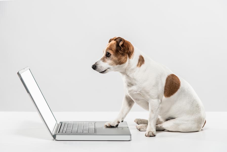 3 Practices To Become Indistractable At Work